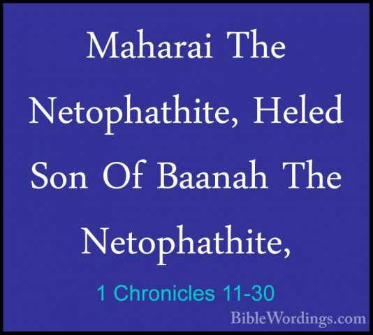 1 Chronicles 11-30 - Maharai The Netophathite, Heled Son Of BaanaMaharai The Netophathite, Heled Son Of Baanah The Netophathite, 