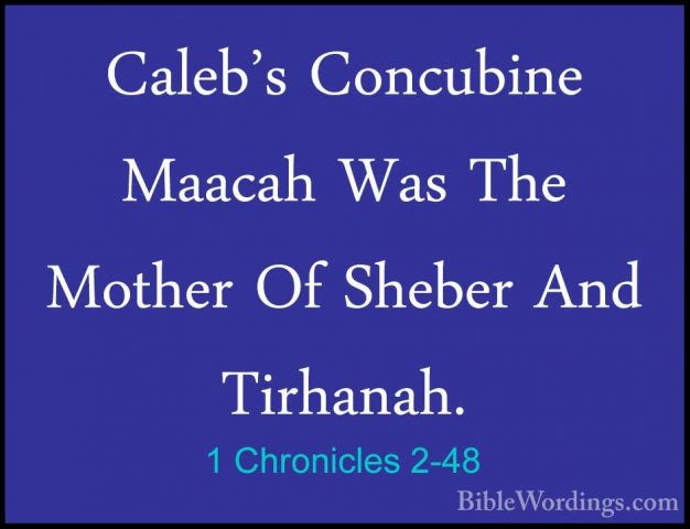 1 Chronicles 2-48 - Caleb's Concubine Maacah Was The Mother Of ShCaleb's Concubine Maacah Was The Mother Of Sheber And Tirhanah. 