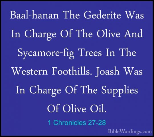 1 Chronicles 27-28 - Baal-hanan The Gederite Was In Charge Of TheBaal-hanan The Gederite Was In Charge Of The Olive And Sycamore-fig Trees In The Western Foothills. Joash Was In Charge Of The Supplies Of Olive Oil. 