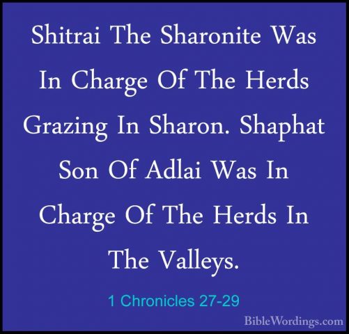 1 Chronicles 27-29 - Shitrai The Sharonite Was In Charge Of The HShitrai The Sharonite Was In Charge Of The Herds Grazing In Sharon. Shaphat Son Of Adlai Was In Charge Of The Herds In The Valleys. 