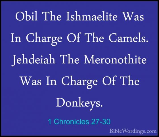 1 Chronicles 27-30 - Obil The Ishmaelite Was In Charge Of The CamObil The Ishmaelite Was In Charge Of The Camels. Jehdeiah The Meronothite Was In Charge Of The Donkeys. 