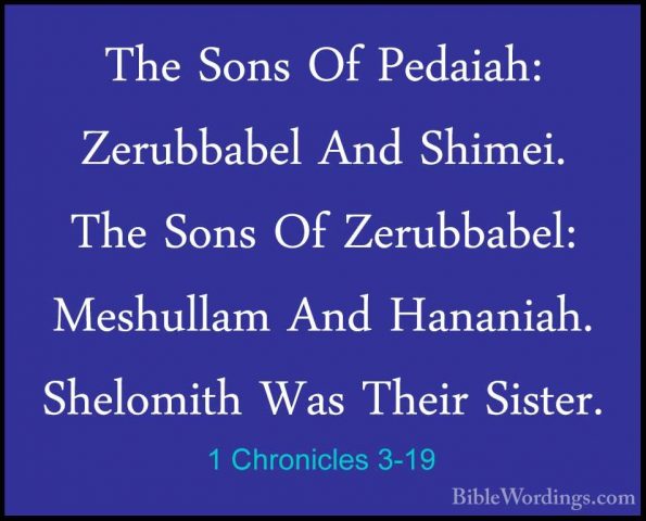 1 Chronicles 3-19 - The Sons Of Pedaiah: Zerubbabel And Shimei. TThe Sons Of Pedaiah: Zerubbabel And Shimei. The Sons Of Zerubbabel: Meshullam And Hananiah. Shelomith Was Their Sister. 