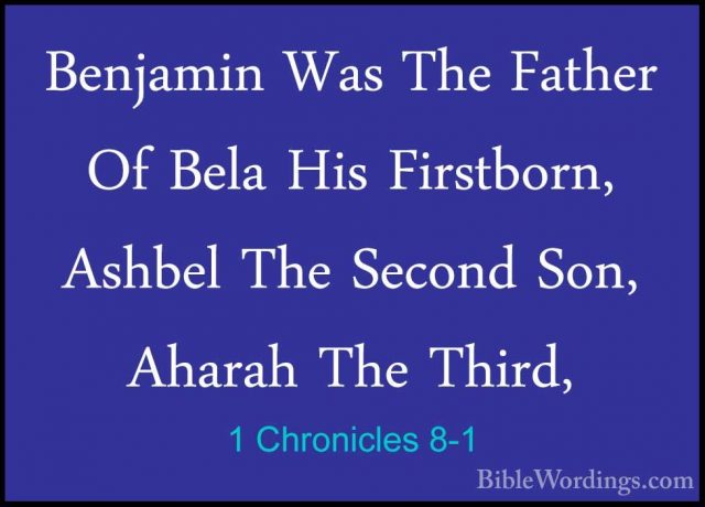 1 Chronicles 8-1 - Benjamin Was The Father Of Bela His Firstborn,Benjamin Was The Father Of Bela His Firstborn, Ashbel The Second Son, Aharah The Third, 