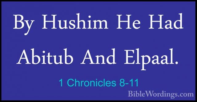 1 Chronicles 8-11 - By Hushim He Had Abitub And Elpaal.By Hushim He Had Abitub And Elpaal. 