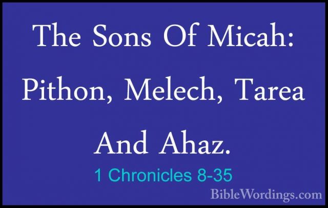 1 Chronicles 8-35 - The Sons Of Micah: Pithon, Melech, Tarea AndThe Sons Of Micah: Pithon, Melech, Tarea And Ahaz. 