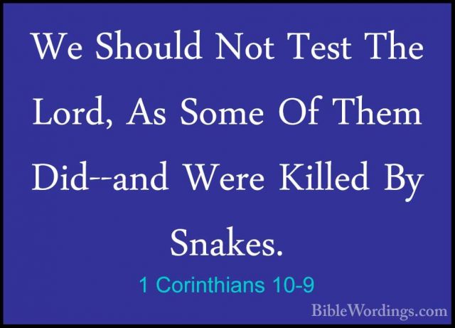 1 Corinthians 10-9 - We Should Not Test The Lord, As Some Of ThemWe Should Not Test The Lord, As Some Of Them Did--and Were Killed By Snakes. 