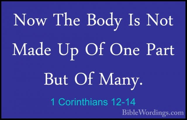 1 Corinthians 12-14 - Now The Body Is Not Made Up Of One Part ButNow The Body Is Not Made Up Of One Part But Of Many. 