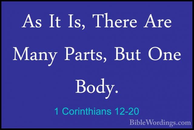 1 Corinthians 12-20 - As It Is, There Are Many Parts, But One BodAs It Is, There Are Many Parts, But One Body. 