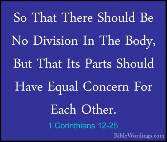 1 Corinthians 12-25 - So That There Should Be No Division In TheSo That There Should Be No Division In The Body, But That Its Parts Should Have Equal Concern For Each Other. 