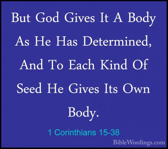 1 Corinthians 15-38 - But God Gives It A Body As He Has DetermineBut God Gives It A Body As He Has Determined, And To Each Kind Of Seed He Gives Its Own Body. 