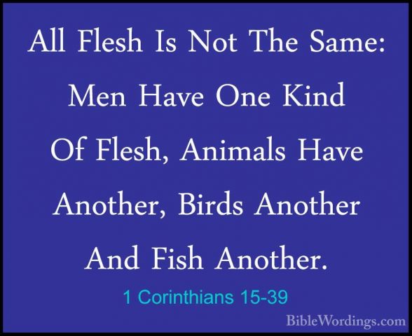 1 Corinthians 15-39 - All Flesh Is Not The Same: Men Have One KinAll Flesh Is Not The Same: Men Have One Kind Of Flesh, Animals Have Another, Birds Another And Fish Another. 