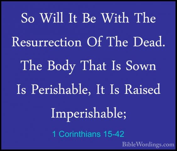 1 Corinthians 15-42 - So Will It Be With The Resurrection Of TheSo Will It Be With The Resurrection Of The Dead. The Body That Is Sown Is Perishable, It Is Raised Imperishable; 