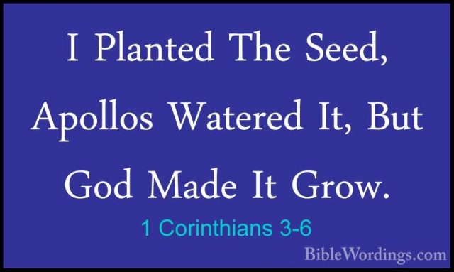 1 Corinthians 3-6 - I Planted The Seed, Apollos Watered It, But GI Planted The Seed, Apollos Watered It, But God Made It Grow. 