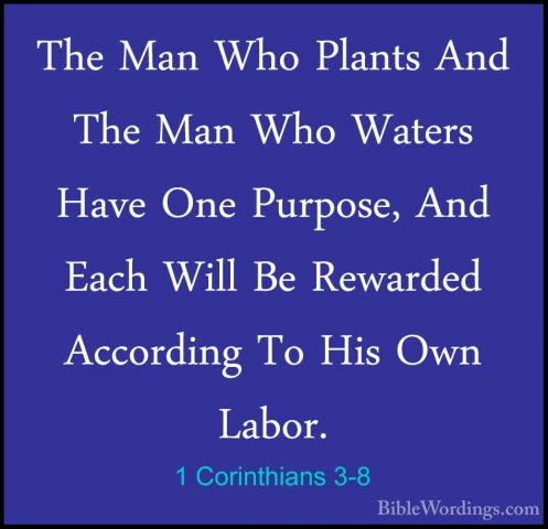 1 Corinthians 3-8 - The Man Who Plants And The Man Who Waters HavThe Man Who Plants And The Man Who Waters Have One Purpose, And Each Will Be Rewarded According To His Own Labor. 