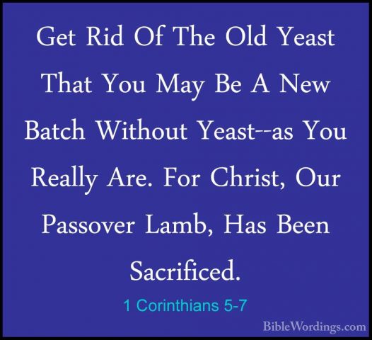 1 Corinthians 5-7 - Get Rid Of The Old Yeast That You May Be A NeGet Rid Of The Old Yeast That You May Be A New Batch Without Yeast--as You Really Are. For Christ, Our Passover Lamb, Has Been Sacrificed. 