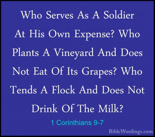 1 Corinthians 9-7 - Who Serves As A Soldier At His Own Expense? WWho Serves As A Soldier At His Own Expense? Who Plants A Vineyard And Does Not Eat Of Its Grapes? Who Tends A Flock And Does Not Drink Of The Milk? 