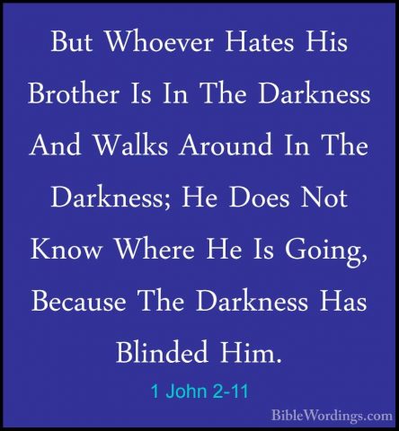 1 John 2-11 - But Whoever Hates His Brother Is In The Darkness AnBut Whoever Hates His Brother Is In The Darkness And Walks Around In The Darkness; He Does Not Know Where He Is Going, Because The Darkness Has Blinded Him. 