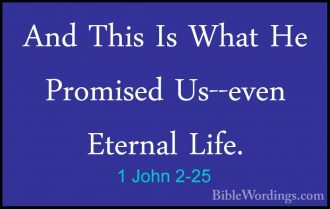 1 John 2 - Holy Bible English - BibleWordings.com