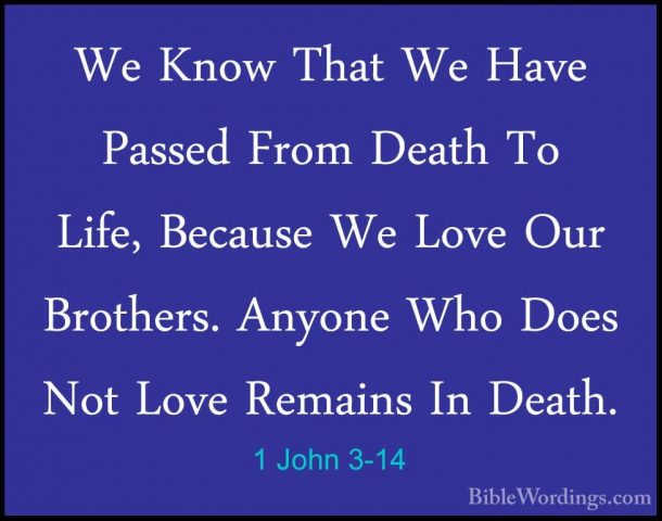 1 John 3-14 - We Know That We Have Passed From Death To Life, BecWe Know That We Have Passed From Death To Life, Because We Love Our Brothers. Anyone Who Does Not Love Remains In Death. 