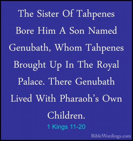 1 Kings 11-20 - The Sister Of Tahpenes Bore Him A Son Named GenubThe Sister Of Tahpenes Bore Him A Son Named Genubath, Whom Tahpenes Brought Up In The Royal Palace. There Genubath Lived With Pharaoh's Own Children. 
