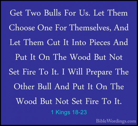1 Kings 18-23 - Get Two Bulls For Us. Let Them Choose One For TheGet Two Bulls For Us. Let Them Choose One For Themselves, And Let Them Cut It Into Pieces And Put It On The Wood But Not Set Fire To It. I Will Prepare The Other Bull And Put It On The Wood But Not Set Fire To It. 
