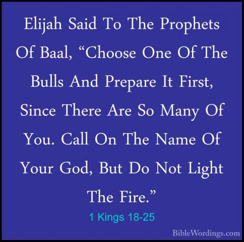 1 Kings 18-25 - Elijah Said To The Prophets Of Baal, "Choose OneElijah Said To The Prophets Of Baal, "Choose One Of The Bulls And Prepare It First, Since There Are So Many Of You. Call On The Name Of Your God, But Do Not Light The Fire." 