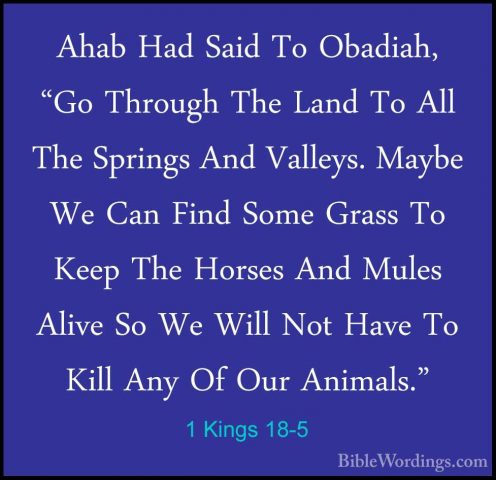 1 Kings 18-5 - Ahab Had Said To Obadiah, "Go Through The Land ToAhab Had Said To Obadiah, "Go Through The Land To All The Springs And Valleys. Maybe We Can Find Some Grass To Keep The Horses And Mules Alive So We Will Not Have To Kill Any Of Our Animals." 