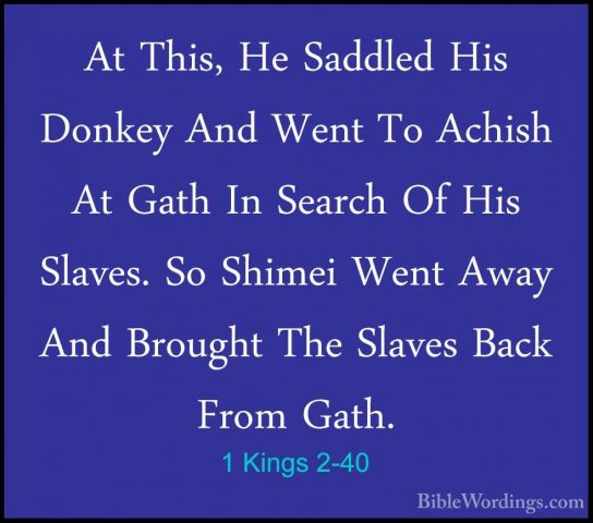 1 Kings 2-40 - At This, He Saddled His Donkey And Went To AchishAt This, He Saddled His Donkey And Went To Achish At Gath In Search Of His Slaves. So Shimei Went Away And Brought The Slaves Back From Gath. 