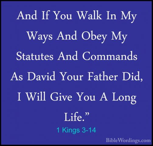1 Kings 3-14 - And If You Walk In My Ways And Obey My Statutes AnAnd If You Walk In My Ways And Obey My Statutes And Commands As David Your Father Did, I Will Give You A Long Life." 