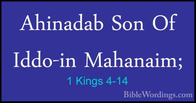 1 Kings 4-14 - Ahinadab Son Of Iddo-in Mahanaim;Ahinadab Son Of Iddo-in Mahanaim; 