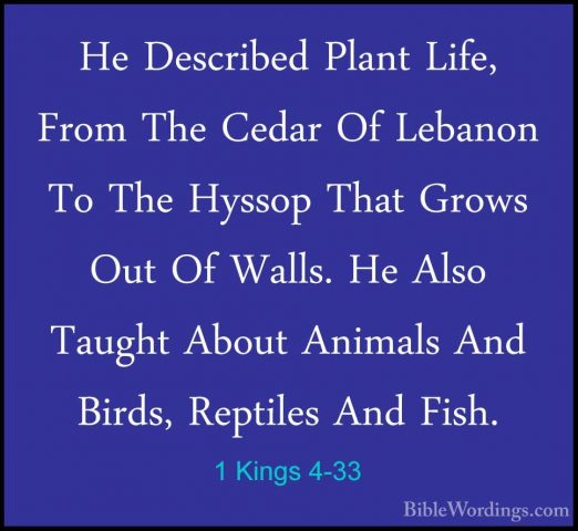 1 Kings 4-33 - He Described Plant Life, From The Cedar Of LebanonHe Described Plant Life, From The Cedar Of Lebanon To The Hyssop That Grows Out Of Walls. He Also Taught About Animals And Birds, Reptiles And Fish. 
