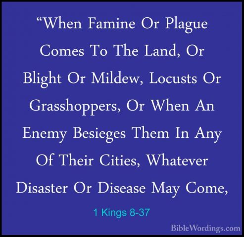1 Kings 8-37 - "When Famine Or Plague Comes To The Land, Or Bligh"When Famine Or Plague Comes To The Land, Or Blight Or Mildew, Locusts Or Grasshoppers, Or When An Enemy Besieges Them In Any Of Their Cities, Whatever Disaster Or Disease May Come, 