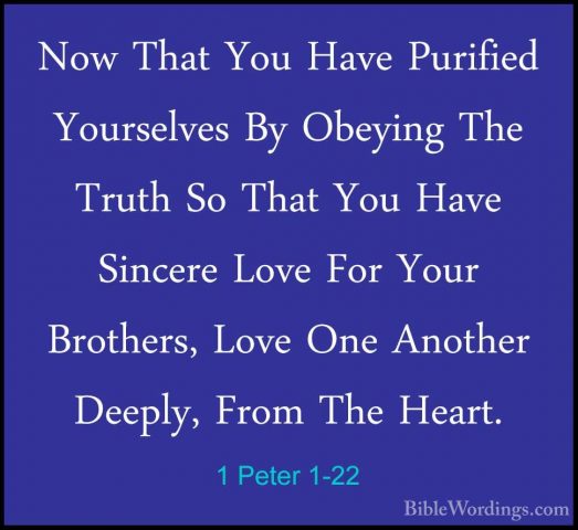 1 Peter 1-22 - Now That You Have Purified Yourselves By Obeying TNow That You Have Purified Yourselves By Obeying The Truth So That You Have Sincere Love For Your Brothers, Love One Another Deeply, From The Heart. 