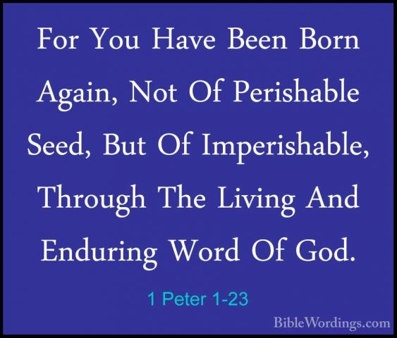 1 Peter 1-23 - For You Have Been Born Again, Not Of Perishable SeFor You Have Been Born Again, Not Of Perishable Seed, But Of Imperishable, Through The Living And Enduring Word Of God. 