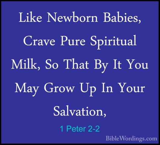 1 Peter 2-2 - Like Newborn Babies, Crave Pure Spiritual Milk, SoLike Newborn Babies, Crave Pure Spiritual Milk, So That By It You May Grow Up In Your Salvation, 