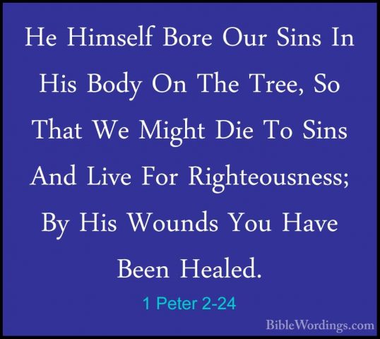 1 Peter 2-24 - He Himself Bore Our Sins In His Body On The Tree,He Himself Bore Our Sins In His Body On The Tree, So That We Might Die To Sins And Live For Righteousness; By His Wounds You Have Been Healed. 