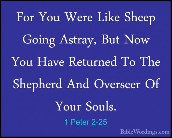 1 Peter 2-25 - For You Were Like Sheep Going Astray, But Now YouFor You Were Like Sheep Going Astray, But Now You Have Returned To The Shepherd And Overseer Of Your Souls.