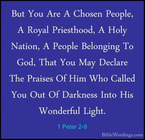 1 Peter 2-9 - But You Are A Chosen People, A Royal Priesthood, ABut You Are A Chosen People, A Royal Priesthood, A Holy Nation, A People Belonging To God, That You May Declare The Praises Of Him Who Called You Out Of Darkness Into His Wonderful Light. 