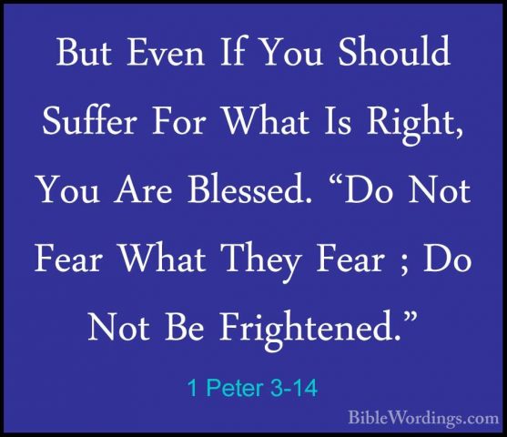 1 Peter 3-14 - But Even If You Should Suffer For What Is Right, YBut Even If You Should Suffer For What Is Right, You Are Blessed. "Do Not Fear What They Fear ; Do Not Be Frightened." 