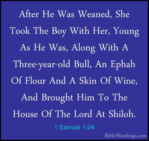1 Samuel 1-24 - After He Was Weaned, She Took The Boy With Her, YAfter He Was Weaned, She Took The Boy With Her, Young As He Was, Along With A Three-year-old Bull, An Ephah Of Flour And A Skin Of Wine, And Brought Him To The House Of The Lord At Shiloh. 