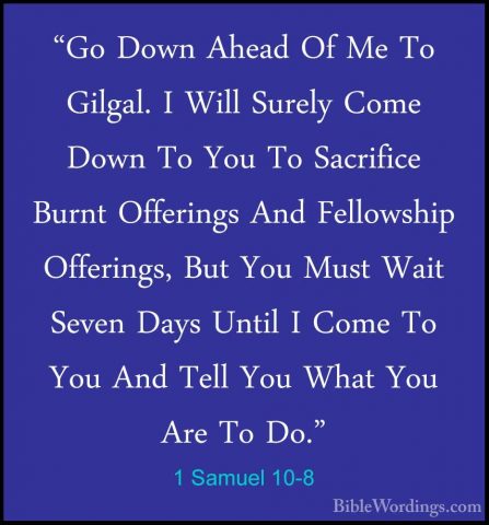 1 Samuel 10-8 - "Go Down Ahead Of Me To Gilgal. I Will Surely Com"Go Down Ahead Of Me To Gilgal. I Will Surely Come Down To You To Sacrifice Burnt Offerings And Fellowship Offerings, But You Must Wait Seven Days Until I Come To You And Tell You What You Are To Do." 