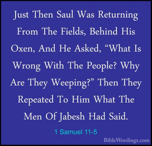 1 Samuel 11-5 - Just Then Saul Was Returning From The Fields, BehJust Then Saul Was Returning From The Fields, Behind His Oxen, And He Asked, "What Is Wrong With The People? Why Are They Weeping?" Then They Repeated To Him What The Men Of Jabesh Had Said. 