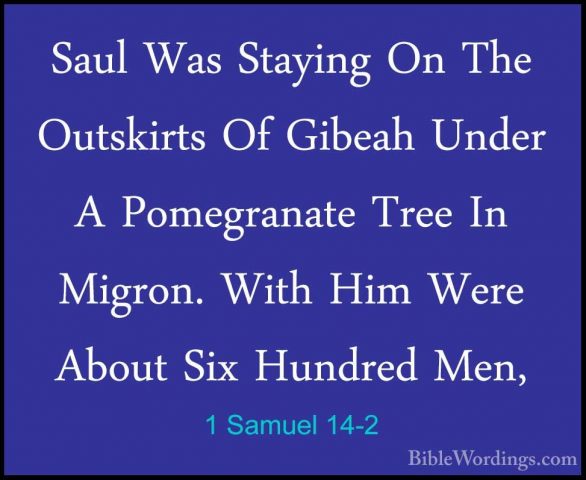 1 Samuel 14-2 - Saul Was Staying On The Outskirts Of Gibeah UnderSaul Was Staying On The Outskirts Of Gibeah Under A Pomegranate Tree In Migron. With Him Were About Six Hundred Men, 
