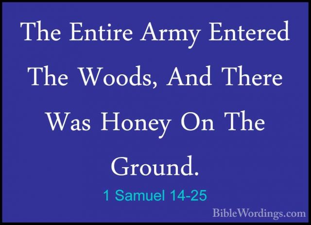 1 Samuel 14-25 - The Entire Army Entered The Woods, And There WasThe Entire Army Entered The Woods, And There Was Honey On The Ground. 