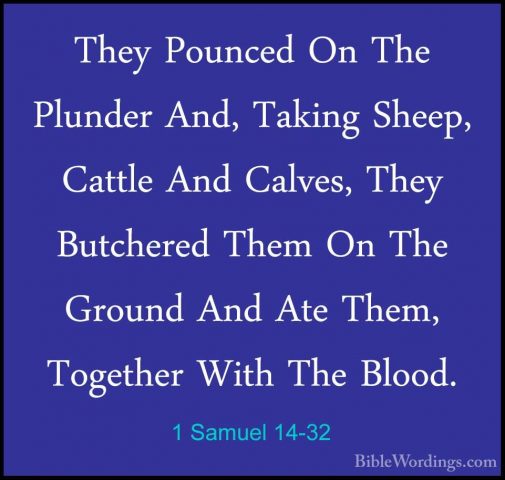 1 Samuel 14-32 - They Pounced On The Plunder And, Taking Sheep, CThey Pounced On The Plunder And, Taking Sheep, Cattle And Calves, They Butchered Them On The Ground And Ate Them, Together With The Blood. 