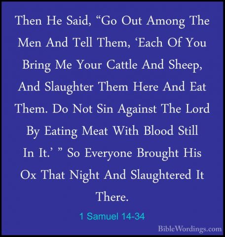 1 Samuel 14-34 - Then He Said, "Go Out Among The Men And Tell TheThen He Said, "Go Out Among The Men And Tell Them, 'Each Of You Bring Me Your Cattle And Sheep, And Slaughter Them Here And Eat Them. Do Not Sin Against The Lord By Eating Meat With Blood Still In It.' " So Everyone Brought His Ox That Night And Slaughtered It There. 