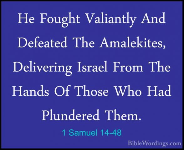 1 Samuel 14-48 - He Fought Valiantly And Defeated The Amalekites,He Fought Valiantly And Defeated The Amalekites, Delivering Israel From The Hands Of Those Who Had Plundered Them. 