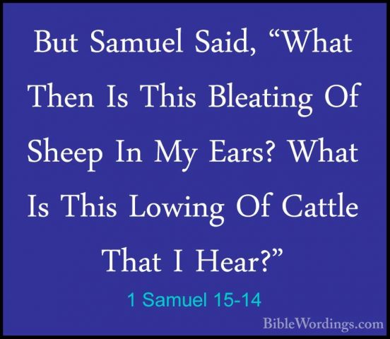 1 Samuel 15-14 - But Samuel Said, "What Then Is This Bleating OfBut Samuel Said, "What Then Is This Bleating Of Sheep In My Ears? What Is This Lowing Of Cattle That I Hear?" 