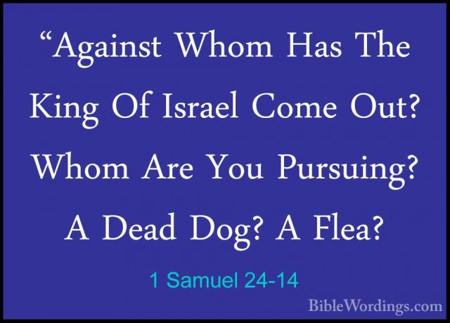 1 Samuel 24-14 - "Against Whom Has The King Of Israel Come Out? W"Against Whom Has The King Of Israel Come Out? Whom Are You Pursuing? A Dead Dog? A Flea? 