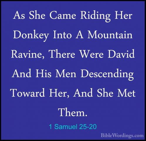 1 Samuel 25-20 - As She Came Riding Her Donkey Into A Mountain RaAs She Came Riding Her Donkey Into A Mountain Ravine, There Were David And His Men Descending Toward Her, And She Met Them. 